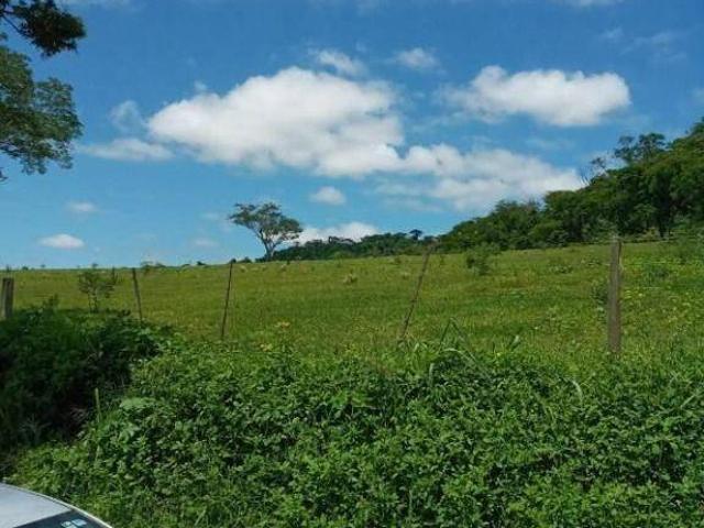 Ótima oportunidade de investimento! Fazenda apta para gado, com área total de 180 alqueires, rica e