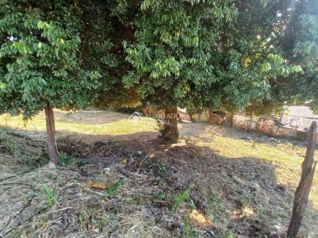Ótimo terreno à venda na Rua Tristão de Alencar, Primavera, Novo Hamburgo, com área total de 880.7m²