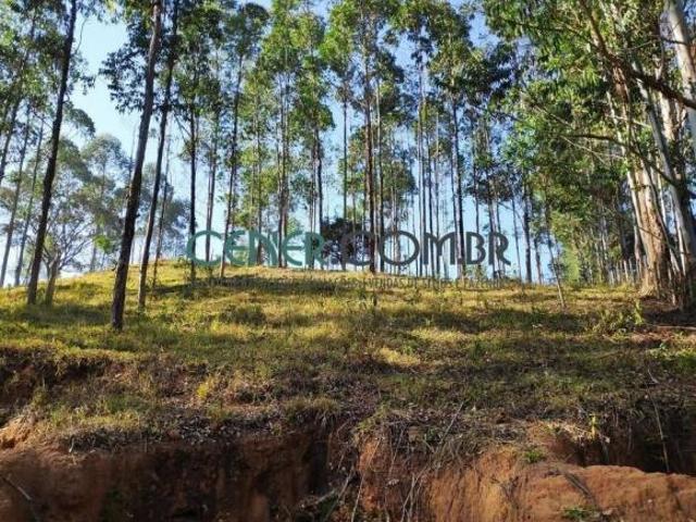 Ótimo Terreno de 10 ha Ideal para Uma Bela Fazendinha em Jeceaba MG