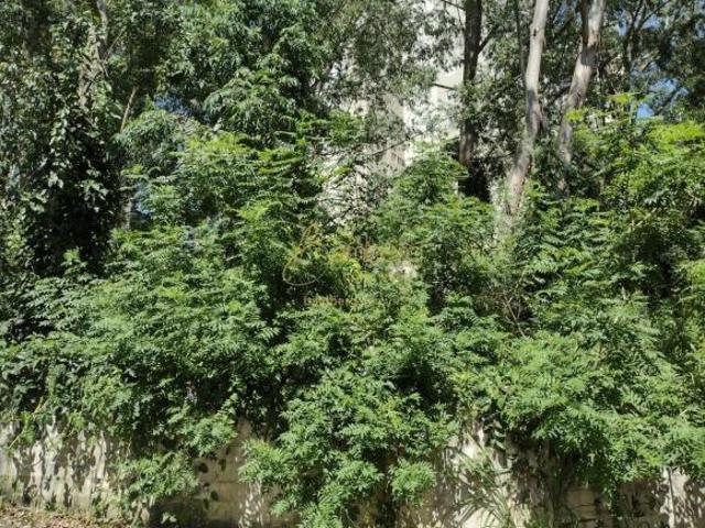 Ótimo terreno em local em amplo crescimento