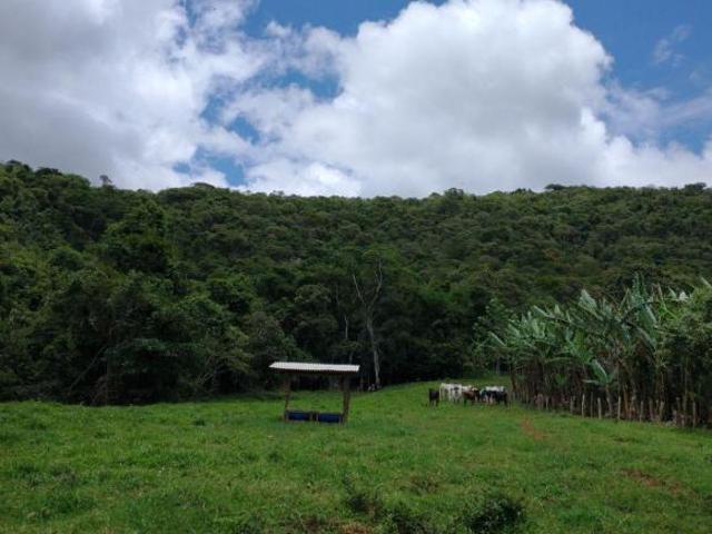Ótimo terreno rural
