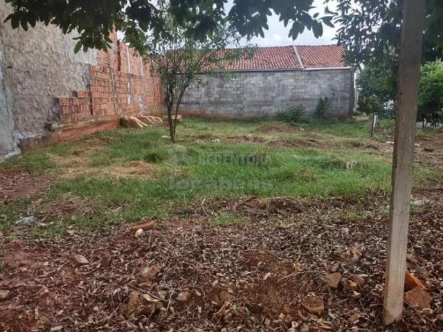 Ótimo Terreno Residencial para Venda com 230m² / Setparque Avenida 2