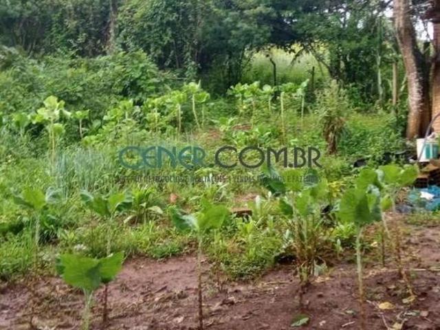 Ótimo e belo Sítio de 16.000 M² a 5 Km de Moeda, 70 Km de Belo Horizonte com muita Água