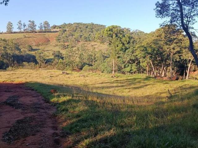Ótimo Sitio em Turvolândia