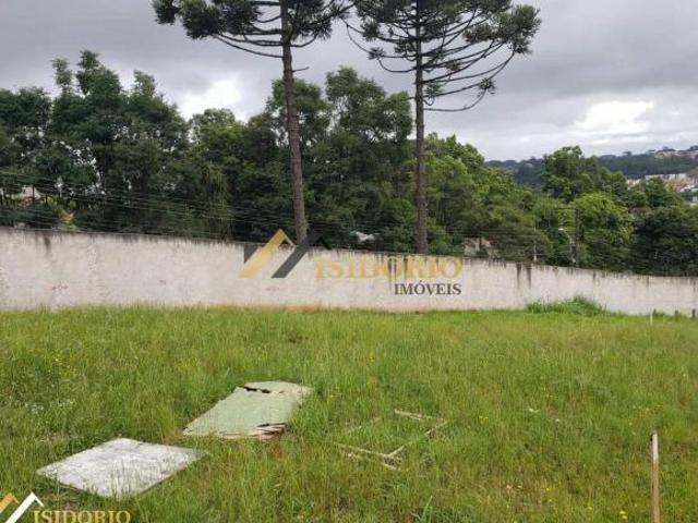 ÓTIMOS LOTES,A PARTIR DE 146.900,00m²,PRÓX. AV. ANITA GARIBALDI