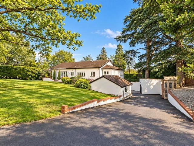 Ottershaw Park, Ottershaw, Chertsey, Surrey KT16, 4 bed semi detached house to rent, £6,750 pcm | PrimeLocation