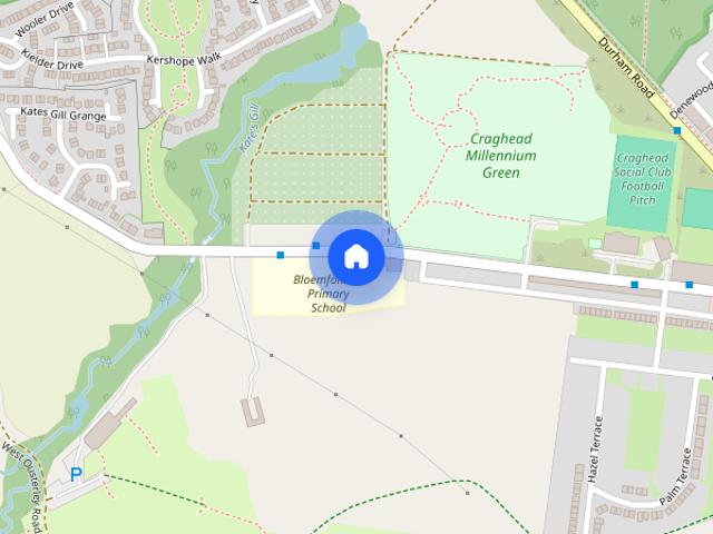 Ousterley Woods, Stanley, County Durham, DH9
