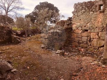 Outros Habitação à venda em Carragoso