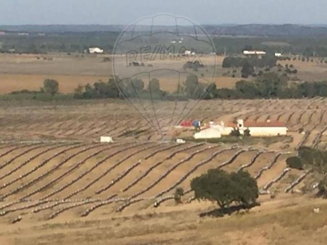 Outros Habitacional à venda em São Manços e São Vicente do Pigeiro, Évora RE/MAX Portugal