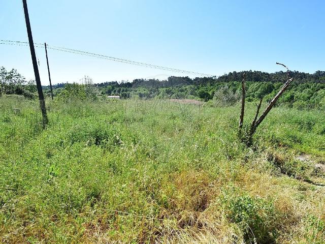 Outros Habitacional à venda em Tábua, Tábua RE/MAX Portugal