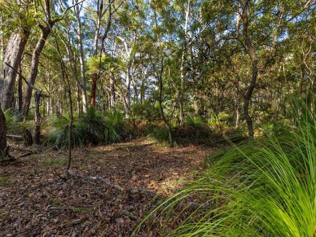 Outstanding Acreage Opportunity in Peregian Beach