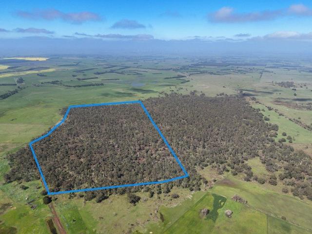 Outstanding Bush Block with the Lot
