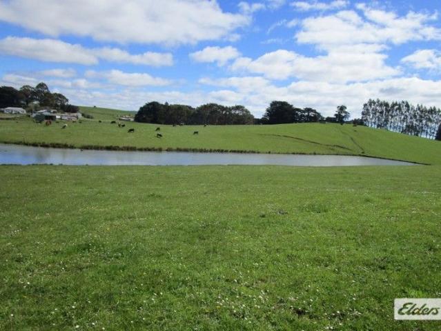OUTSTANDING CATTLE BLOCK 38.65 HECTARES 95 Acres