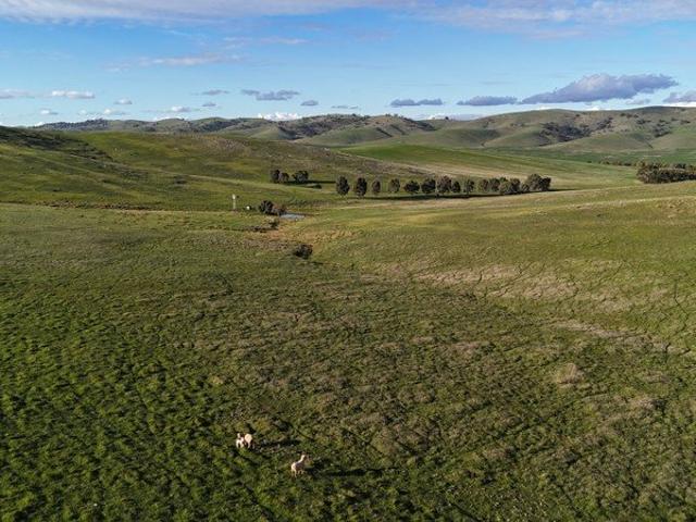 Outstanding Mixed Farming Opportunity with Secure Turbine Income