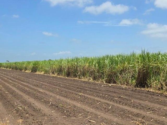 Outstanding potential for agricultural use