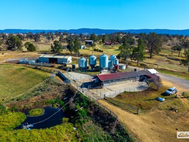 OUTSTANDING RIVER FRONT FARM 593 MEG IRRIGATION LICENCE!