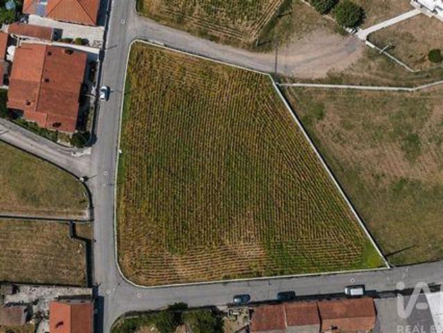 Ovar Aveiro 101623536