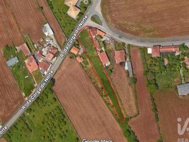 Ovar Aveiro 105273569