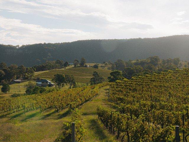 Over 1,000m² in the heart of the Hunter Valley | Millfield Rise
