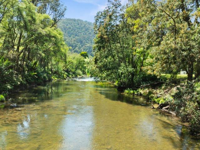 Over 1 acre on the Goulburn with lovely cottage, bungalow & shed!