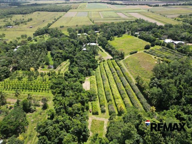 Over 600 Fruit trees, 90 MG Water Licence, perfect for Eco Tourism