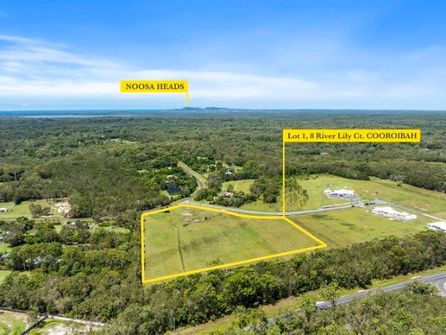 Over 7 Acres of Cleared, Level Land Build Ready!