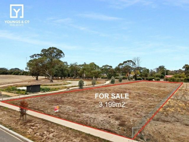 Overlook Beautiful Water Views 3,199m2 Block Lauriston Estate
