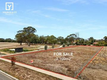 Overlook Beautiful Water Views 3,199m2 Block Lauriston Estate