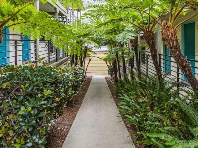 Overlook Point | Hillside Living in Mission Hills Studio Apartment for Rent at 1616 Guy St, San Diego, CA 92103 Midtown
