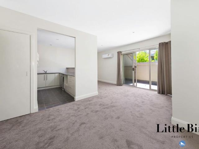 Oversized one bedroom apartment in Forrest!