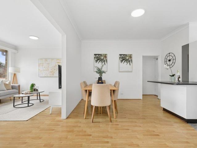Oversized north facing apartment in Manly Vale's heart