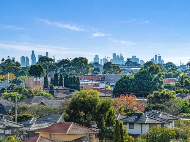 Oversized with Views from Mountain to City !