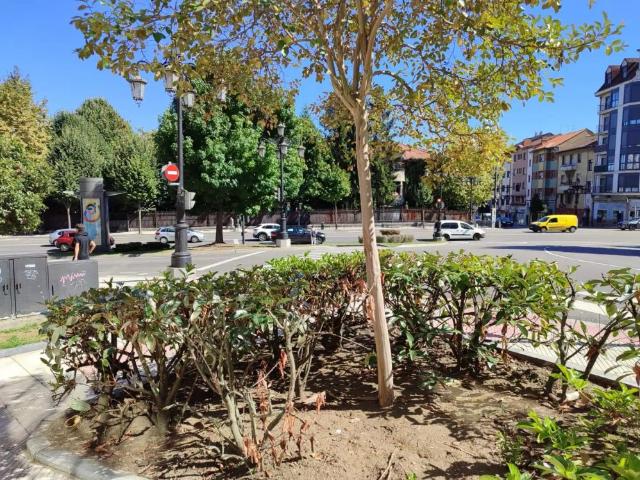 Oviedo