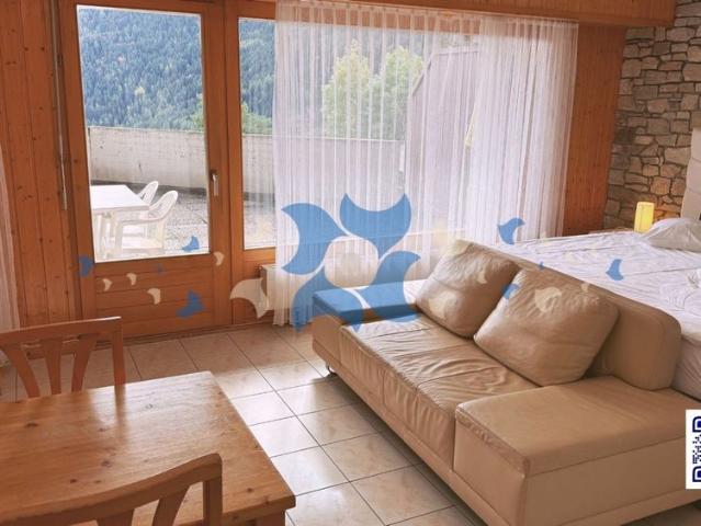 OVRONNAZ/VS Studio with large south facing terrace, direct access to the Baths Magic Pass, parking space, laundry room