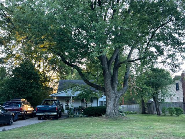 Oxbow St