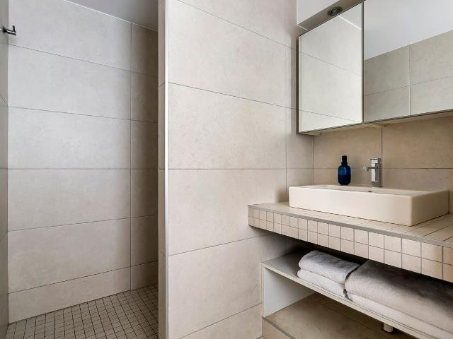 Ozanam – quiet apartment with large terrace, Lyon Amsterdam Apartments for Rent