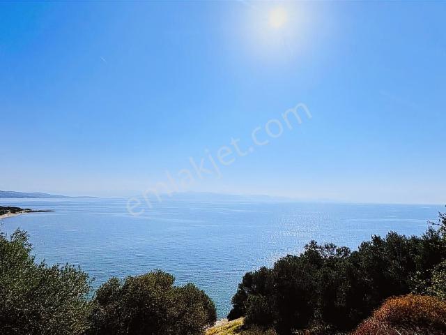 Özdere Ahmetbeyli Maydonoz Koyu Denize 900 M Satılık Villa