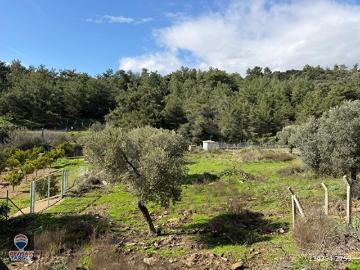 Çukuraltı, Menderes, İzmir ili, Ege Bölgesi