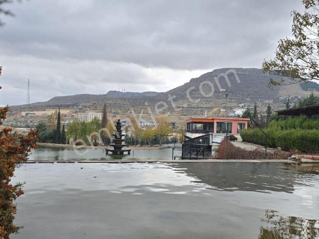 Çözüm'den Mavişehir 2 Etap'ta Full Eşyalı 2+1 Kiralık Daire