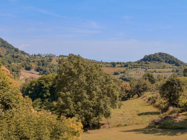 P521 Nuovi appartamenti in affitto con contratto transitorio