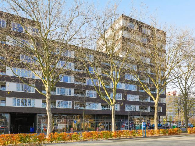 P.C. Hooftplein 97