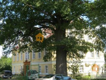 Pałac 800 m² z ogrodem, inwestycja pod hotel lub dom seniora