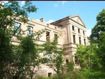 Pałac w Wierzbięcinie 574 m2 z parkiem i historią