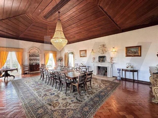 Paço de Ois Palacete com vista para a Serra do Caramulo 1150m² Tamengos, Aguim e Óis do Bairro