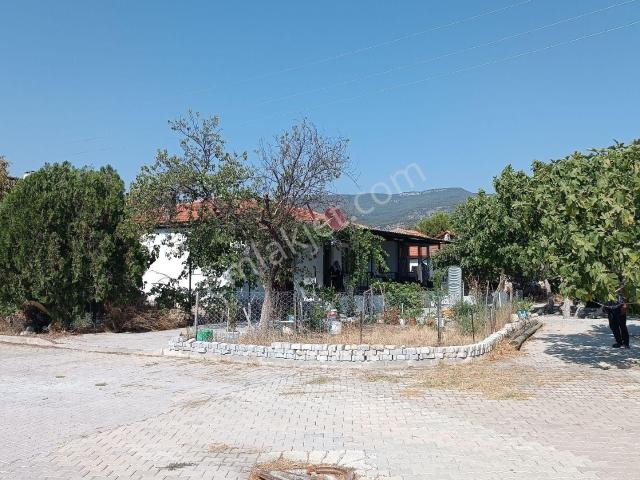 Pamukkale Akköy'de Müstakil Ev 523 M² Arsa İçinde köşe Bina