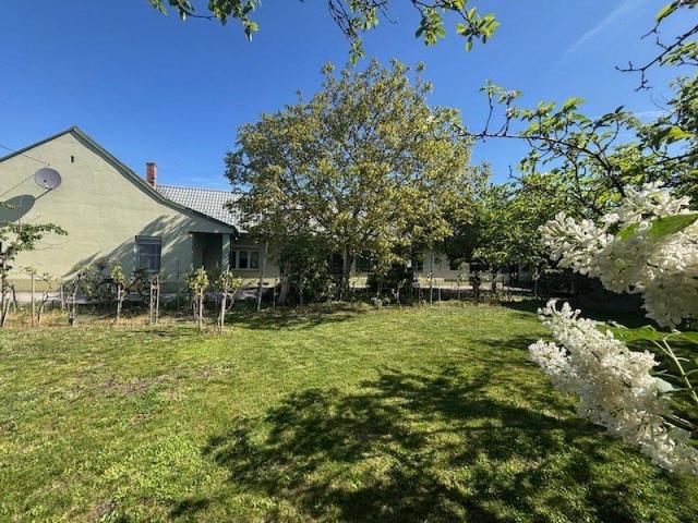 Pamhagen modernisierter Streckhof mit Tschadacke und Stadl in ruhiger Sonnenlage Eckgrundstück