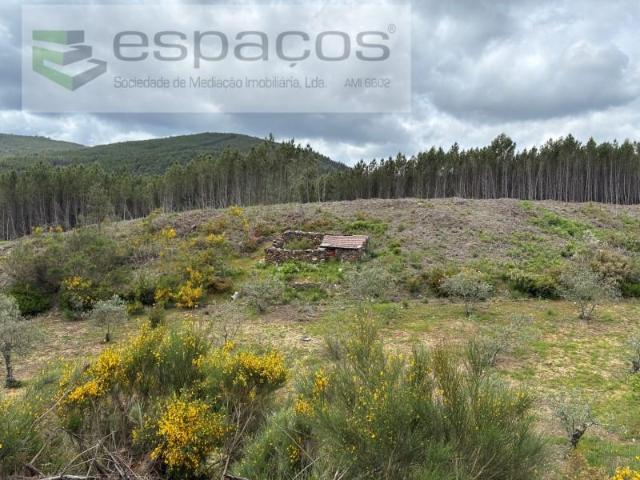 Pampilhosa da Serra Pampilhosa da Serra 102667505