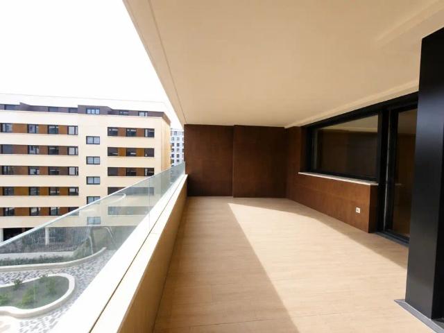 Pamplona / Iruña