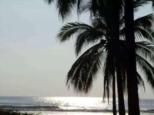 Pantla zona Ixtapa 113 hectareas con 800 m2 frente de playa