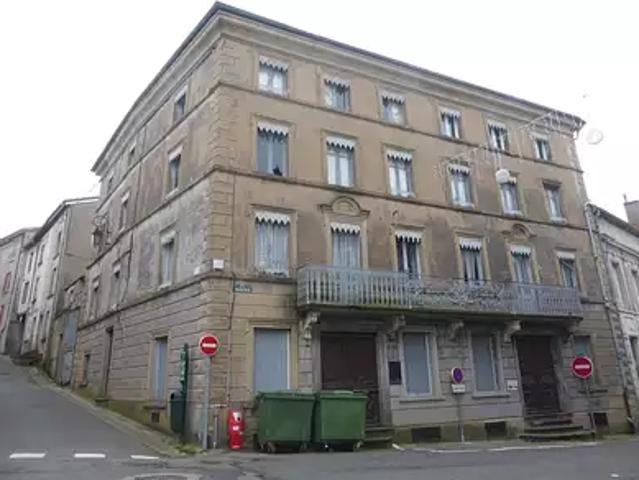 Panissières 42360 Achat / Vente maison 40 pièces t40